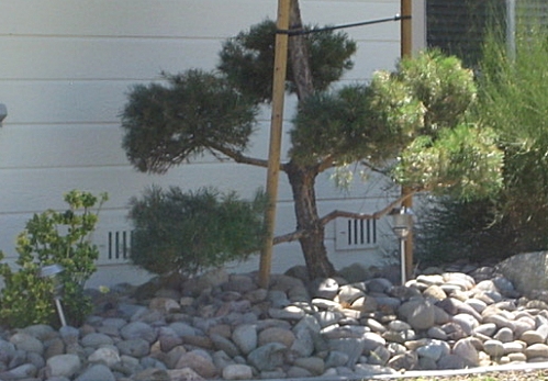 RazAir crawlspace vent cover